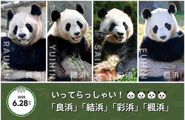 2025年5月 第306页