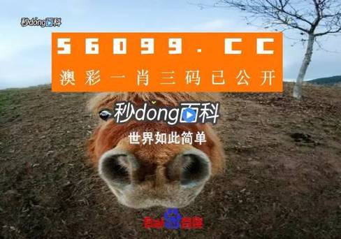 澳门一码一肖一特一中管家和汶川3.3级地震与汶川3.4级地震