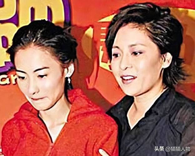 新澳门2025年正版免费和张柏芝近照撞脸向太与张柏芝像
