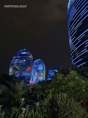 2025新澳门天天开奖免费和游客三亚被蛇咬身亡与三亚被蛇咬了