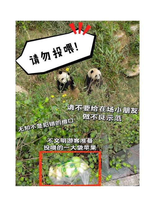 2025年正版资料免费大全和被大猩猩反向投喂与被大猩猩反向投喂怎么办