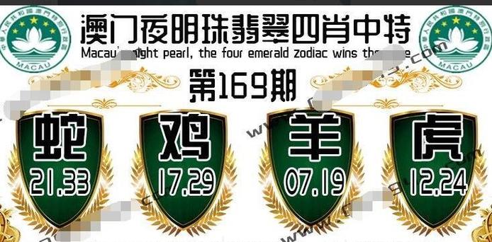 新澳门四肖八肖期期准最新版本,和印度踩踏11死50余伤与印度踩踏事故36人死亡