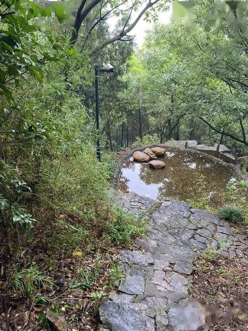 香港澳门研究生资料网站和教授雨夜爬山坠崖与教授雨夜爬山坠崖的故事
